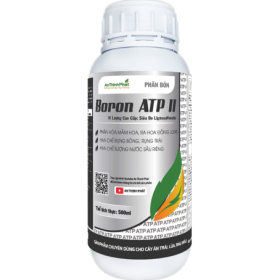 BORON ATP