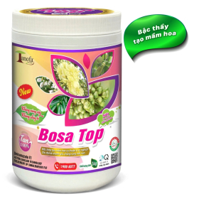 BOSA TOP