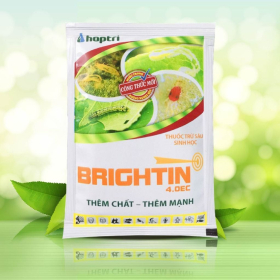 BRIGHTIN 4.0 EC HỢP TRÍ