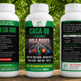 PHÂN BÓN LÁ NPK - VI LƯỢNG CÓ CHẤT ĐIỀU HÒA SINH TRƯỞNG CACA 08 (LÚA XANH) 