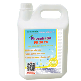 CAN PHOSPHATIN ATP
