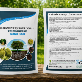 CHẾ PHẨM SINH HỌC CANOLA 02 - TRICHODERMA NÔNG LÂM
