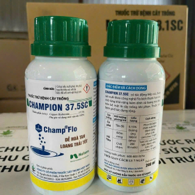 CHAMPION 37.5SC 240ML