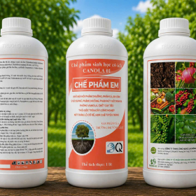 CHẾ PHẨM SINH HỌC CANOLA 01 - CHẾ PHẨM EM
