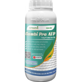COMBI PRO ATP