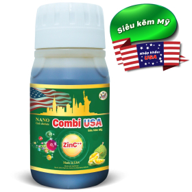 COMBI USA 3 TỐT