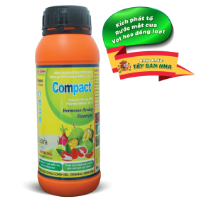 COMPACT 3 TỐT