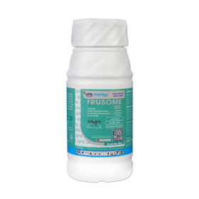 FRUSOME APN