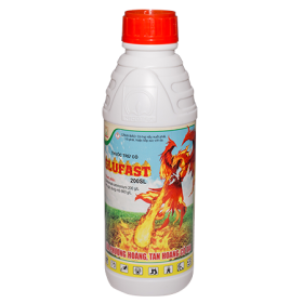 GLUFAST 200SL