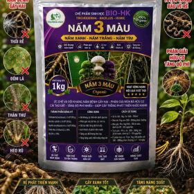 CHẾ PHẨM SINH HỌC BIO-HK TRICHODERMA - BACILLUS - HUMIC NẤM 3 MÀU (GÓI 1 KG)