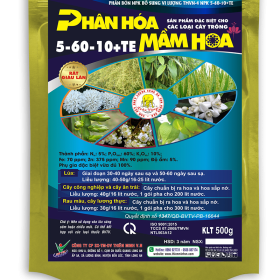 PHÂN HÓA MẦM HOA 5-60-10+TE (Trâu Vàng)