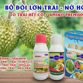 BỘ ĐÔI TO TRÁI + AMINO PREMIUM AN DÂN 