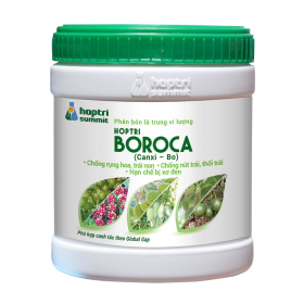 BOROCA HỢP TRÍ