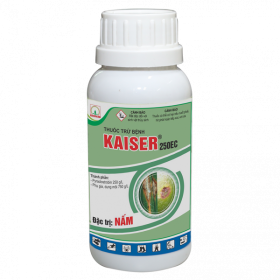 KAISER 250EC