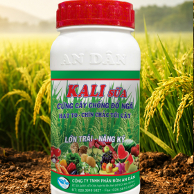 PHÂN BÓN KALI SỮA - AN DÂN