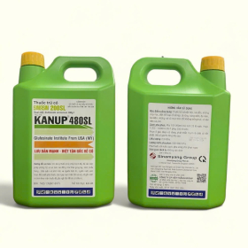 THUỐC TRỪ CỎ SINASIN 200SL 4.5LÍT - Thay thế KANUP 480SL