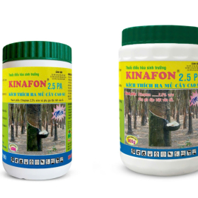Thuốc điều hòa sinh trưởng KINAFON 2.5PA