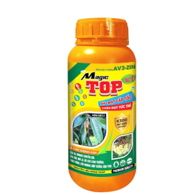 MAGIC TOP 3 TỐT