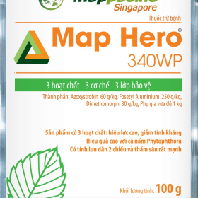 MAP HERO
