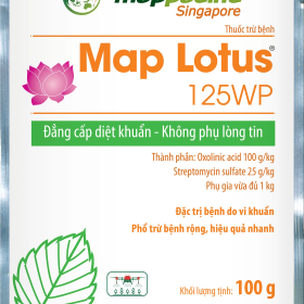 Map Lotus 125WP