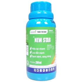 New Star