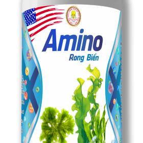 Phân bón Amino RONG BIỂN (Trâu Vàng)