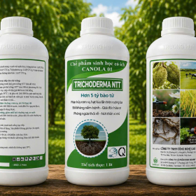 CHẾ PHẨM SINH HỌC CANOLA 01 - TRICHODERMA NTT