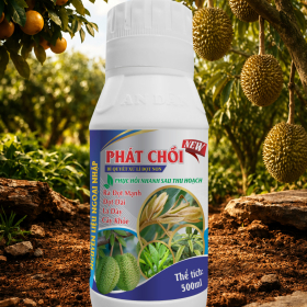 PHÁT CHỒI 500ML AN DÂN
