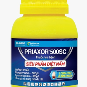  Priaxor® 500SC
