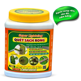 QUÉT SẠCH RONG 3 TỐT