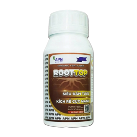 ROOTTOP APN