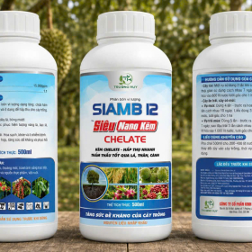 PHÂN BÓN VI LƯỢNG SIAMB 12 - SIÊU NANO KẼM CHELATE