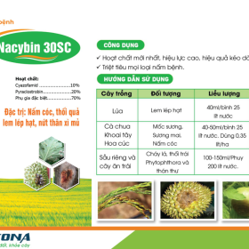 NACYBIN 30SC KONA