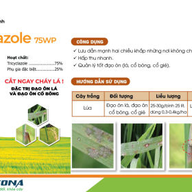 BELAZOLE 75WP KONA 