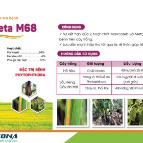 META M68  KONA