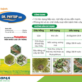 DR. PHYTOP 500WP KONA