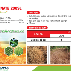 THUỐC TRỪ CỎ BASTNATE 200SL KONA