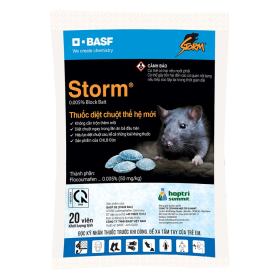 KẸO CHUỘT STORM HỢP TRÍ