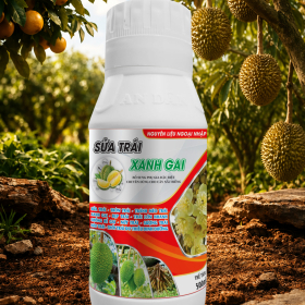 PHÂN BÓN SỬA TRÁI XANH GAI - AN DÂN