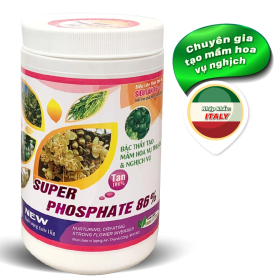 SUPER PHOSPHATE 86