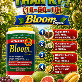 Phân bón lá NPK THẦN KỲ 7 10-60-10 BLOOM SUPER (NCP)
