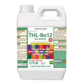 THL BO 12 5L 