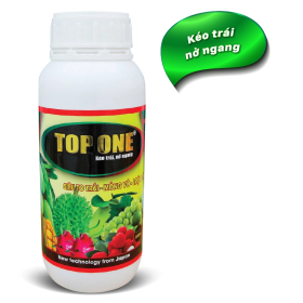 TOP ONE KÉO TRÁI