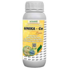 UNIKA-CA
