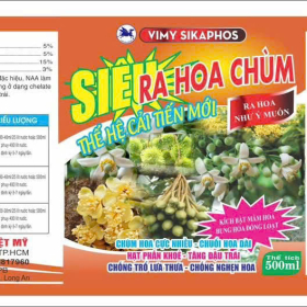 VIMY SIKAPHOS SIÊU RA HOA CHÙM 500ML