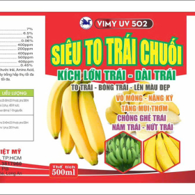 VIMY UV 502 SIÊU TO TRÁI CHUỐI 500ML