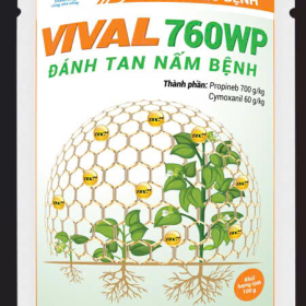 THUỐC TRỪ BỆNH VIVAL 760WP