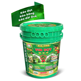 BIG ONE VUA ĐỌT 3 TỐT