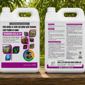 CHẾ PHẨM VI SINH VẬT PHÂN GIẢI XENLULO - TRICHODERMA BACILLUS SPP