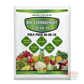 MH STRONGFRUIT